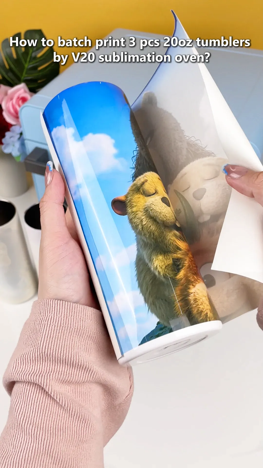 Video preview 4