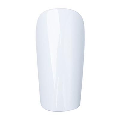 PLHT006 Shin Guards (L)