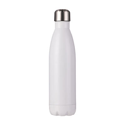 PL19 17oz Water Bottle