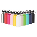 Powder Coated Sports Bottle with Plastic &amp; Carabiner Lid(17oz/500ml,Common Blank,Silver)