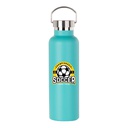 750ml Sports Bottle with Stainless steel Lid(Other,Common Blank,Mint Green)