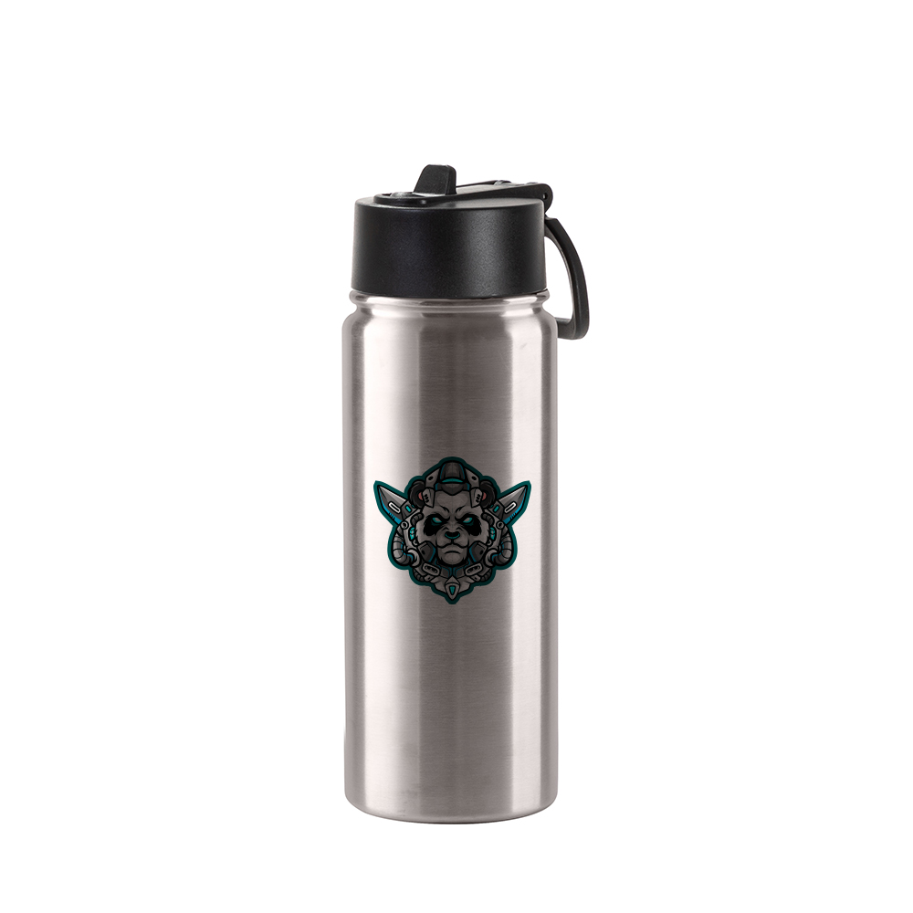 18oz/550ml Stainless Steel Water Bottle w/ Wide Mouth Straw Lid &amp; Rotating Handle (Plain, Stainless steel)