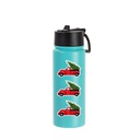 18oz/550ml Stainless Steel Water Bottle w/ Wide Mouth Straw Lid &amp; Rotating Handle (Powder Coated, Mint Green)