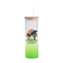 20oz/600ml Glass Skinny Tumbler w/Straw &amp; Bamboo Lid(Frosted, Gradient Green)