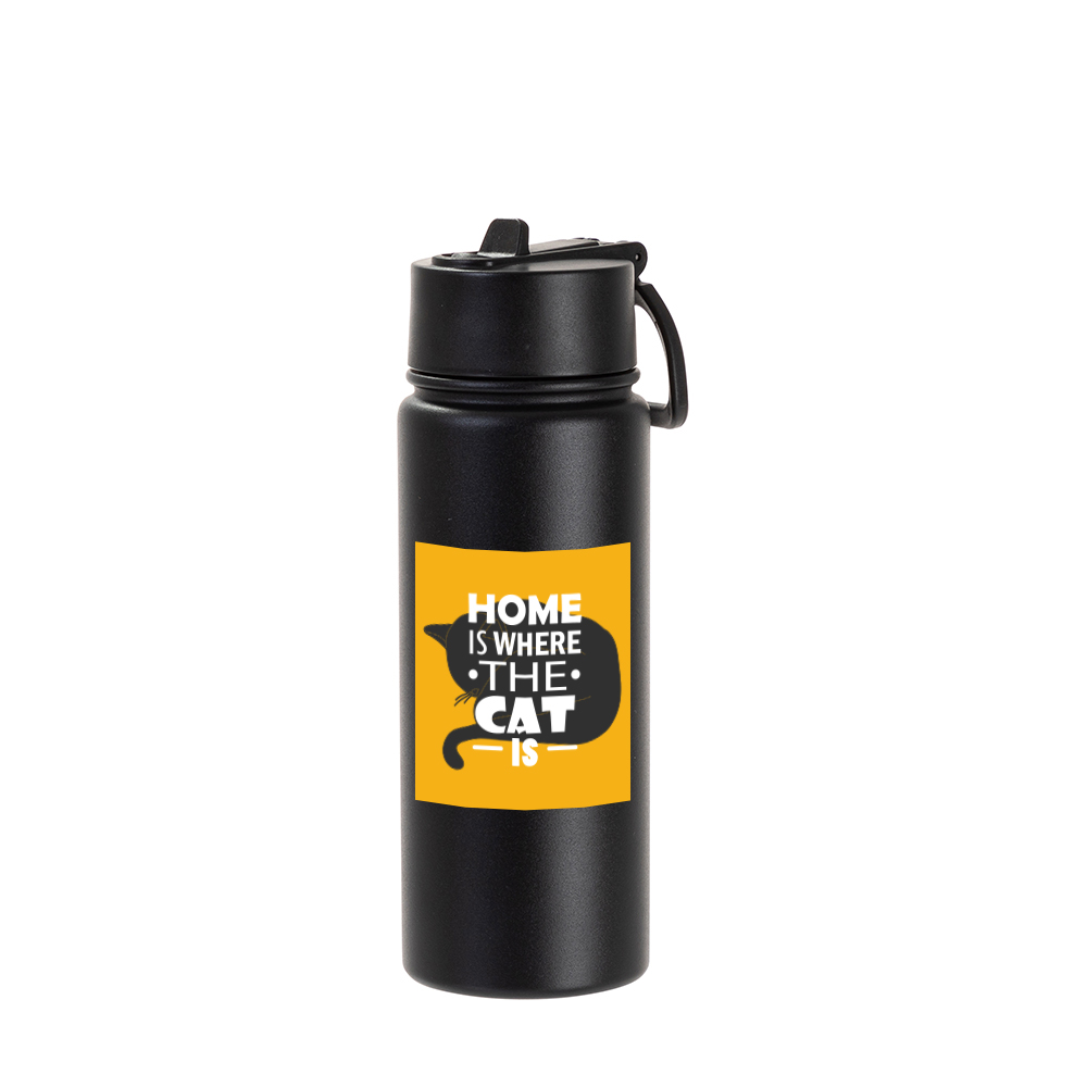 18oz/550ml Stainless Steel Water Bottle w/ Wide Mouth Straw Lid &amp; Rotating Handle (Powder Coated, Black)
