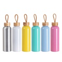 20oz/600ml Aluminum Water Bottle with Bamboo Lid (Light Blue)