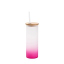Frosted Glass Skinny Tumbler w/Straw &amp; Bamboo Lid(17oz/500ml,Sublimation Blank,Purple)