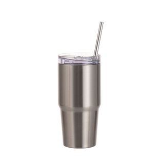 20OZ/600ml Stainless Steel Travel Tumblers With Metal Straw And Screw Top (Silver)
